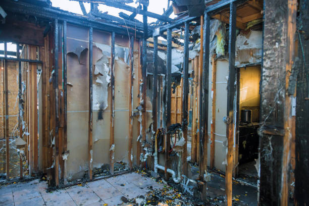 Professional Smoke Damage Removal technician working in Canal Winchester, OH